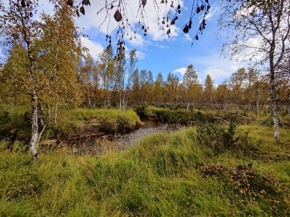 Lavijoki * Kaaresuvanto